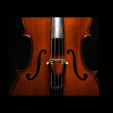 CSO  Violin Image