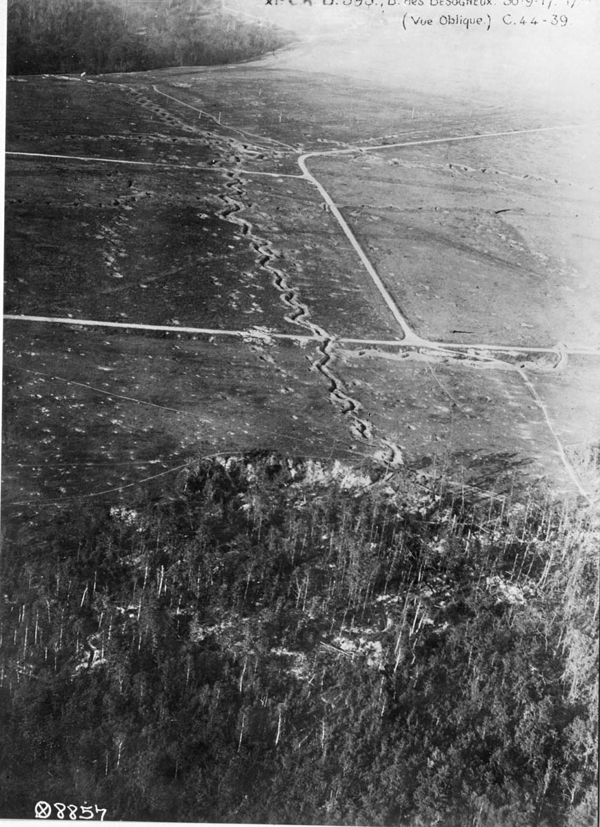 Aerial view of a trench system.