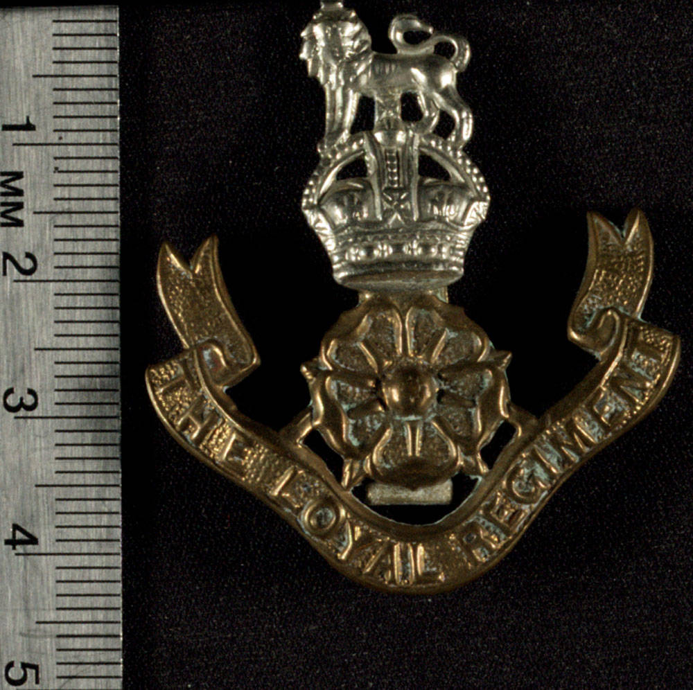 Military Realia / Artifact Loyal Regiment... Pritzker Military