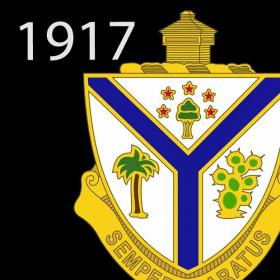 132nd Timeline 1917