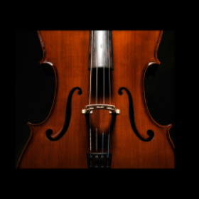 CSO Image of Violin