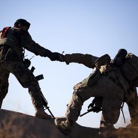 Working Hand in Hand