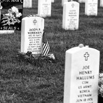 Museum & Library honors veterans with free lineup of events for Memorial Day