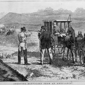 Illustration of men shooting at a herd of buffalo.