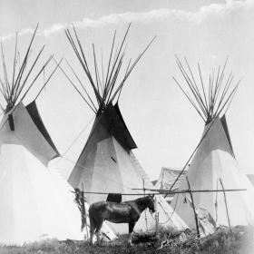 Photograph of three tipis on the Crow Agency in Montana.