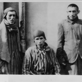 Survivors of the Dachau Concentration Camp